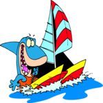 Shark on Catamaran