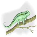 Gecko 1 Clip Art