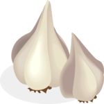 Garlic 08