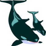Whales 1 Clip Art