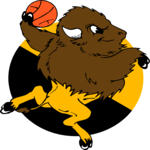 Basketball - Buffalo