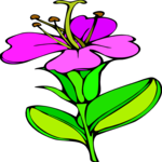 Thyme Clip Art