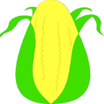 Corn 16