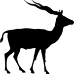 Antelope 3 Clip Art