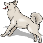 Malamute Clip Art