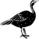 Bird 27 Clip Art