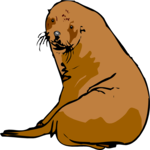 Sea Lion 2 Clip Art