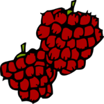 Raspberries 2 Clip Art