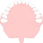 Teeth Clip Art