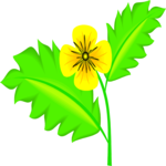 Poppy 1 Clip Art