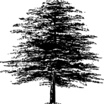 Tree 021 Clip Art