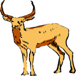 Antelope 12 Clip Art