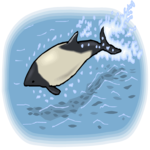 Porpoise 4 Clip Art