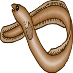 Eel 3 Clip Art