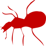 Ant - Red 2