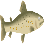 Trout 1 Clip Art