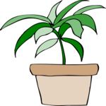Plant 076