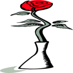 Rose in Vase 1