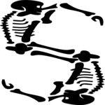 Skeleton S Clip Art