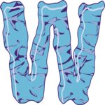 Crinkle Extended W 2