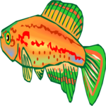 Killifish 16 Clip Art