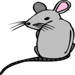 Mouse 07