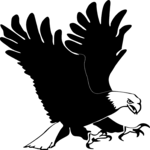 Eagle 07 Clip Art