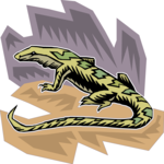 Lizard 10 Clip Art