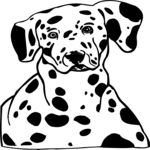 Dalmatian 3 Clip Art