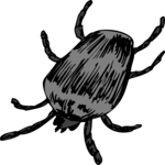 Beetle 23 Clip Art