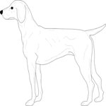 Dog 013 Clip Art