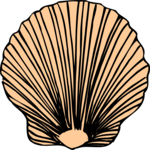 Sea Shell 43 Clip Art