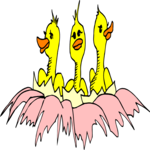 Chicks Hatching 1 Clip Art