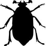 Insect Clip Art