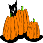 Pumpkins & Cat