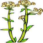 Plant 191 Clip Art