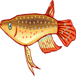 Killifish 07