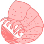 Shrimp 13 Clip Art