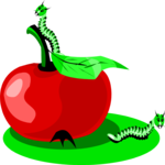 Worms in Apple