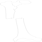 Leg - Transverse Fracture