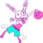 Basketball - Rabbit 1