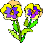 Pansy 5 Clip Art