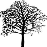 Tree 025 Clip Art