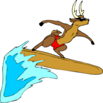 Reindeer Surfing