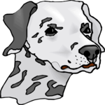 Dalmatian 7 Clip Art