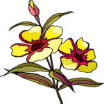 Flower 240 Clip Art