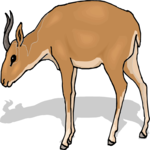 Antelope 50 Clip Art
