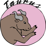 Taurus 14