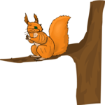 Squirrel 13