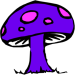 Mushroom 21